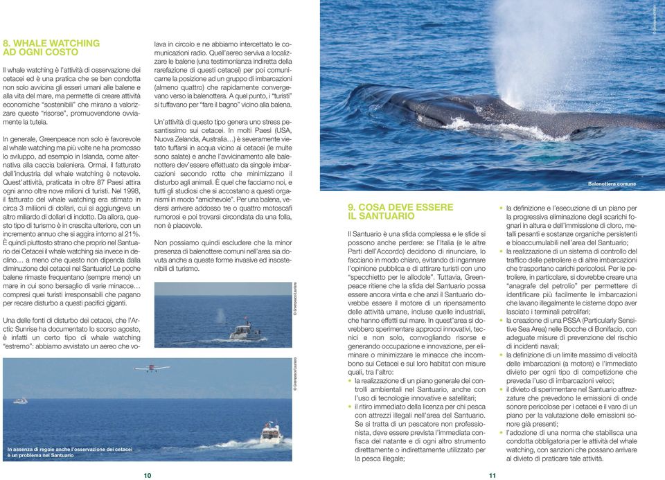 In generale, Greenpeace non solo è favorevole al whale watching ma più volte ne ha promosso lo sviluppo, ad esempio in Islanda, come alternativa alla caccia baleniera.