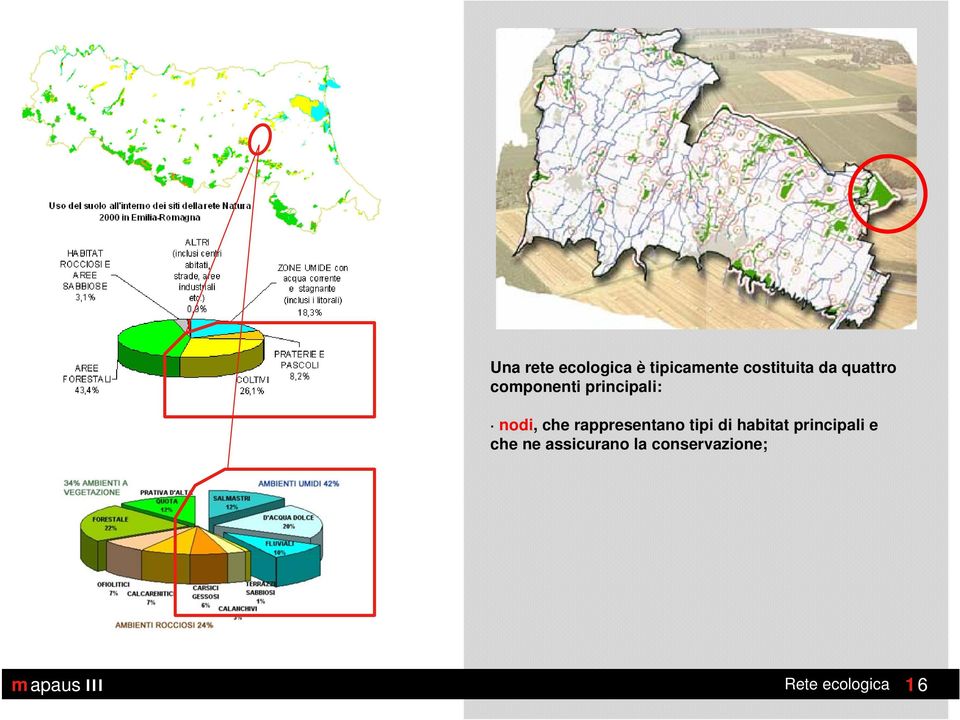 rappresentano tipi di habitat principali e che