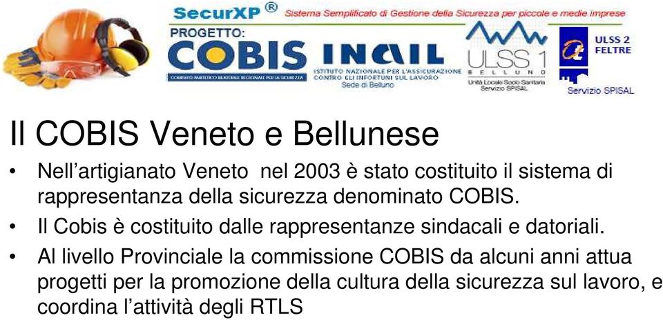 Il Cobis è costituito dalle rappresentanze sindacali e datoriali.