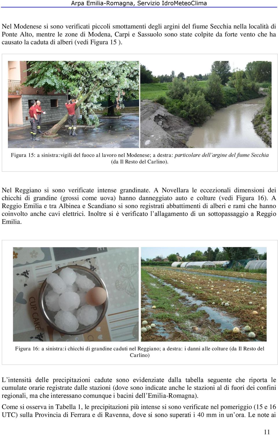 Nel Reggiano si sono verificate intense grandinate. A Novellara le eccezionali dimensioni dei chicchi di grandine (grossi come uova) hanno danneggiato auto e colture (vedi Figura 16).