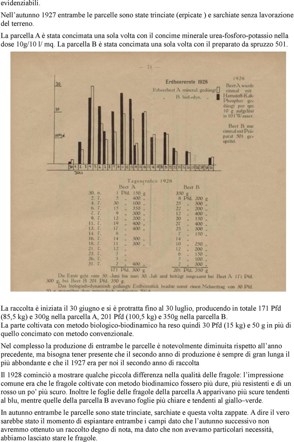 La raccolta è iniziata il 30 giugno e si è protratta fino al 30 luglio, producendo in totale 171 Pfd (85,5 kg) e 300g nella parcella A, 201 Pfd (100,5 kg) e 350g nella parcella B.