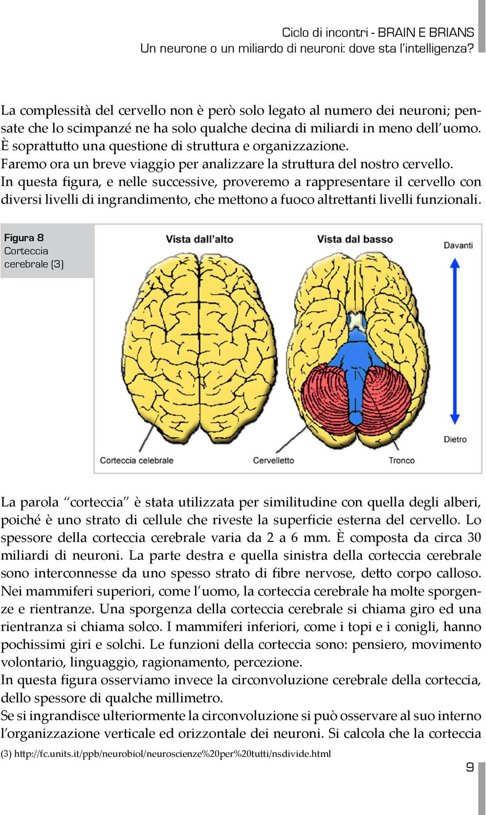 In questa figura, e nelle successive, proveremo a rappresentare il cervello con diversi livelli di ingrandimento, che mettono a fuoco altrettanti livelli funzionali.