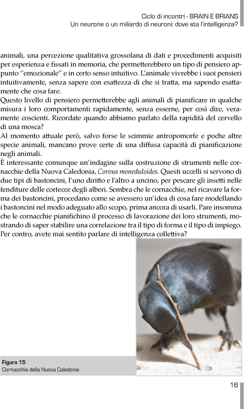 Questo livello di pensiero permetterebbe agli animali di pianificare in qualche misura i loro comportamenti rapidamente, senza esserne, per così dire, veramente coscienti.