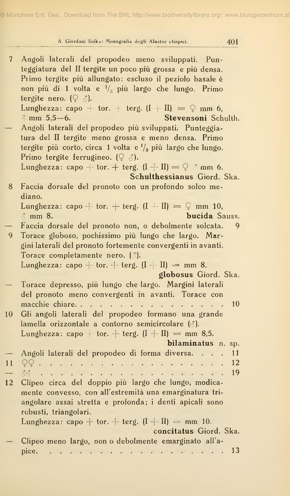 . piü largo che lungo. Primo tergite nero. (9 j)- Lunghezza: capo - tor. ^ tcrg. (I 11) = 9 mn^ 6, (^ mm 5,5 6, Stevenson! Schulth.