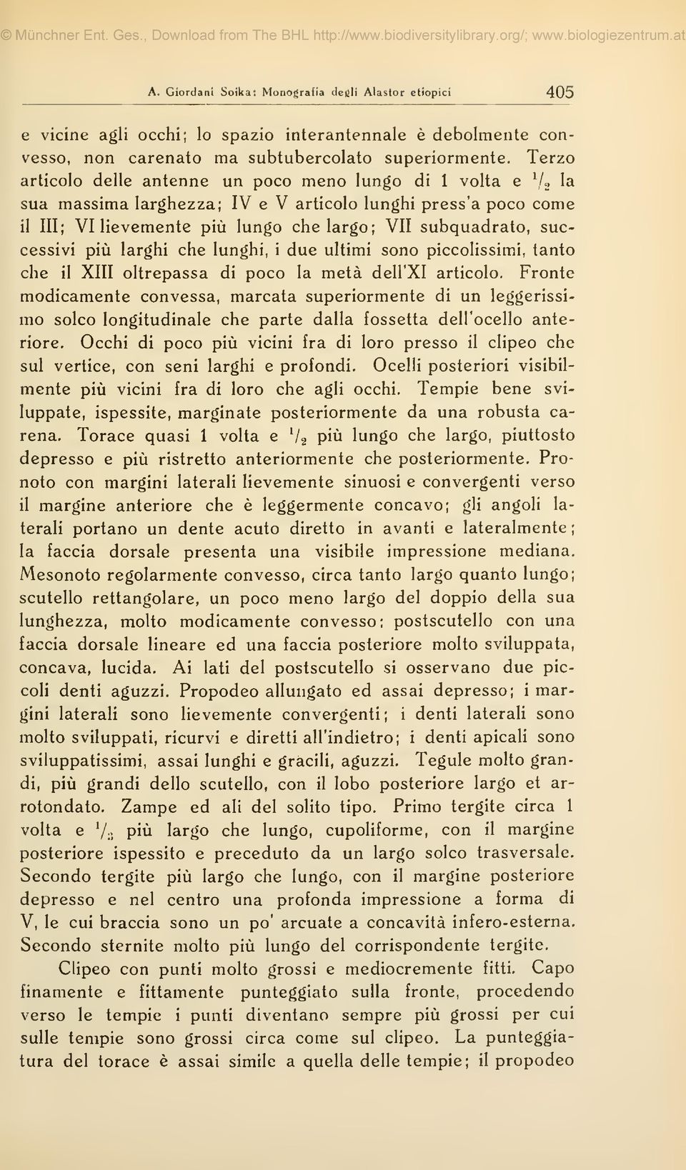 lunghi, i due ultimi sono piccolissimi, tanto che il XIII oltrepassa di poco la metä dell'xi articolo.