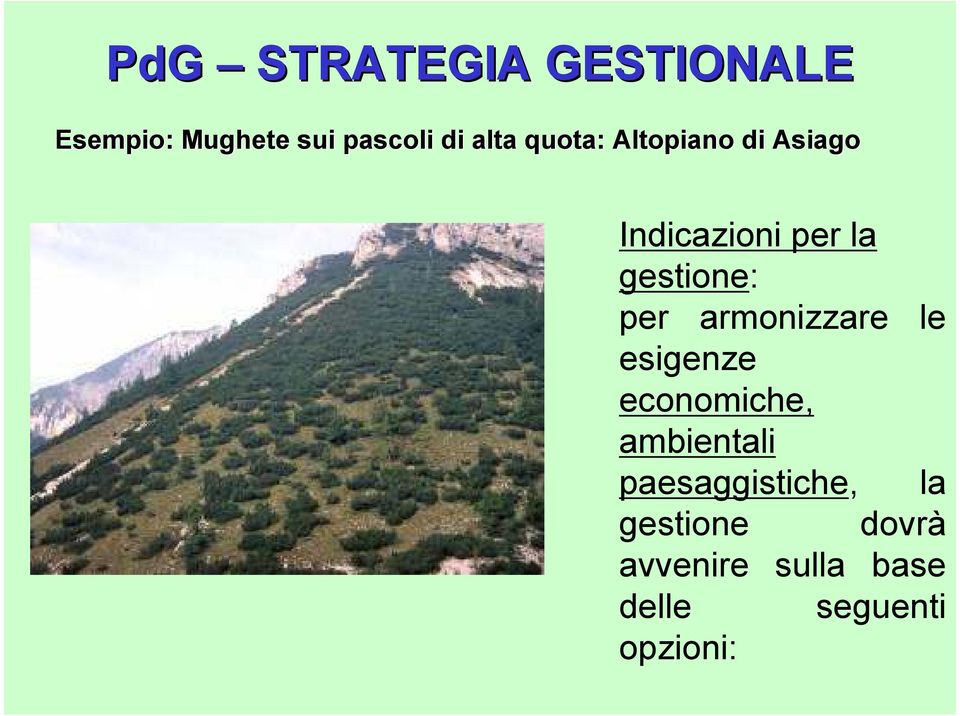 armonizzare le esigenze economiche, ambientali