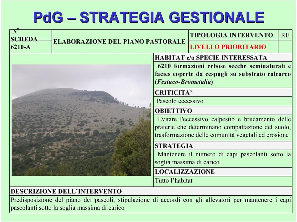 determinano compattazione del suolo, trasformazione delle comunità vegetali ed erosione STRATEGIA Mantenere il numero di capi pascolanti sotto la soglia massima di carico LOCALIZZAZIONE