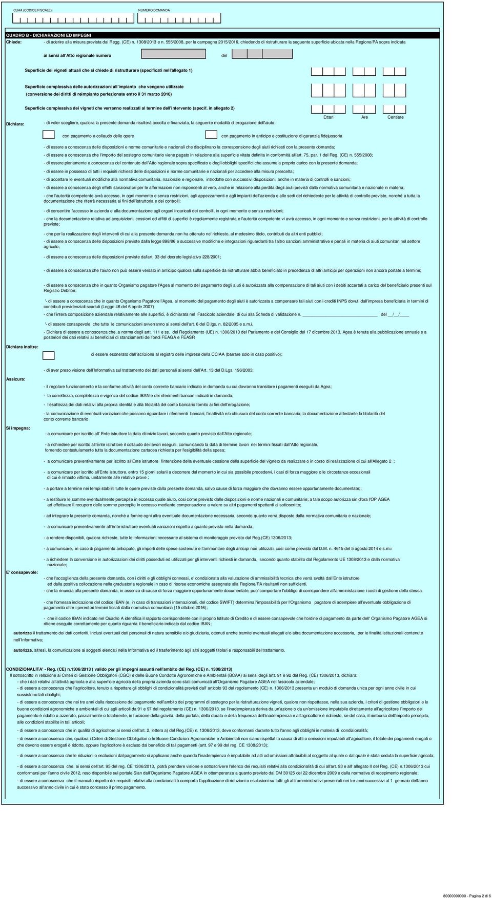 che si chiede di ristrutturare (specificati nell'allegato 1) Superficie complessiva delle autorizzazioni all'impianto che vengono utilizzate (conversione dei diritti di reimpianto perfezionate entro