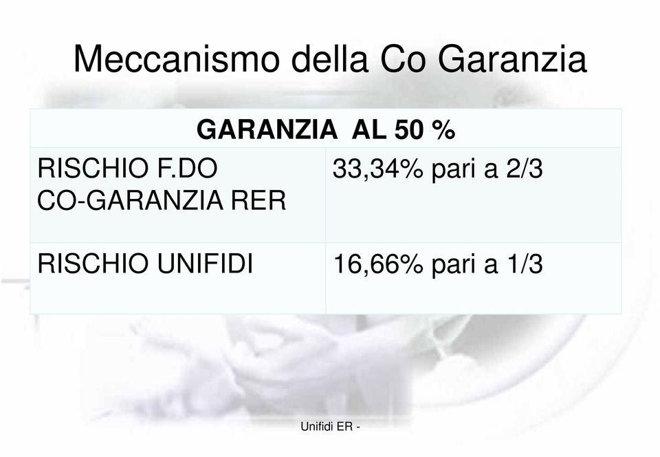 DO 33,34% pari a 2/3 CO-GARANZIA