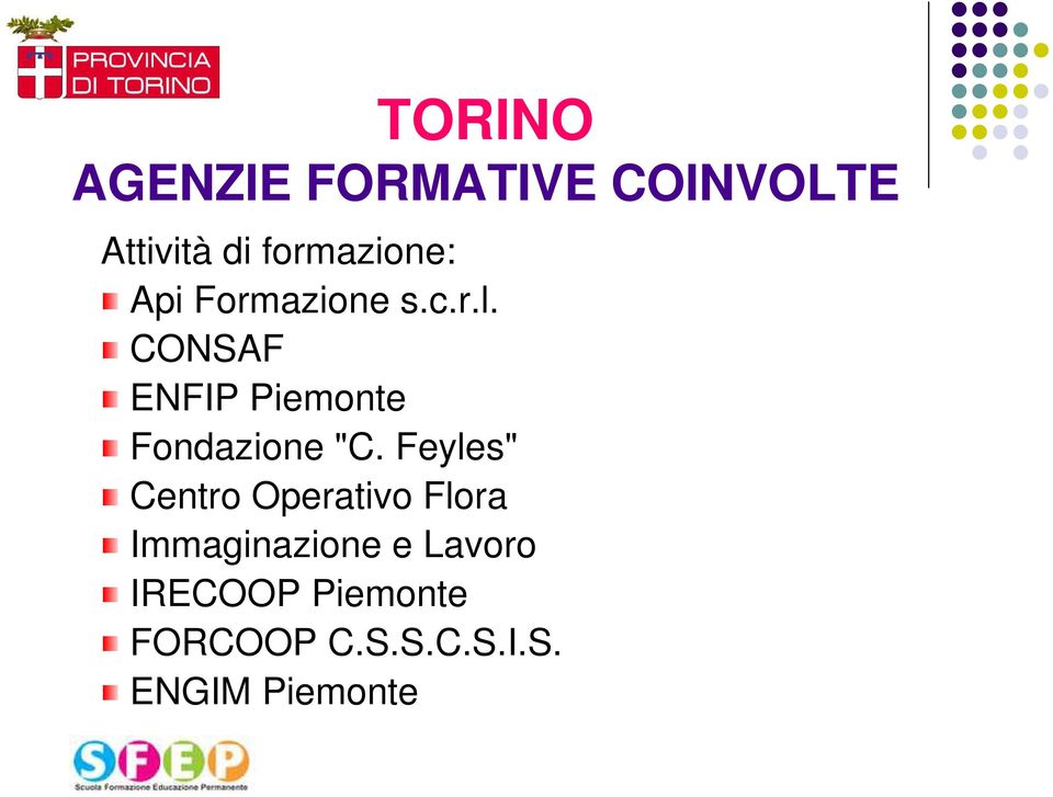 CONSAF ENFIP Piemonte Fondazione "C.