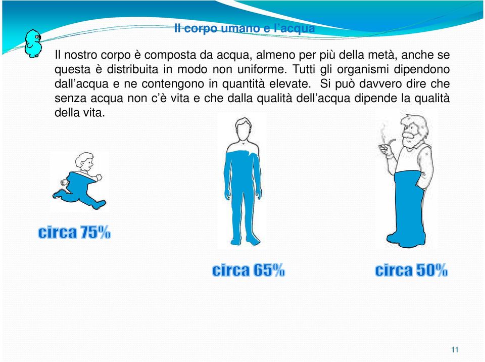 Tutti gli organismi dipendono dall acqua e ne contengono in quantità elevate.