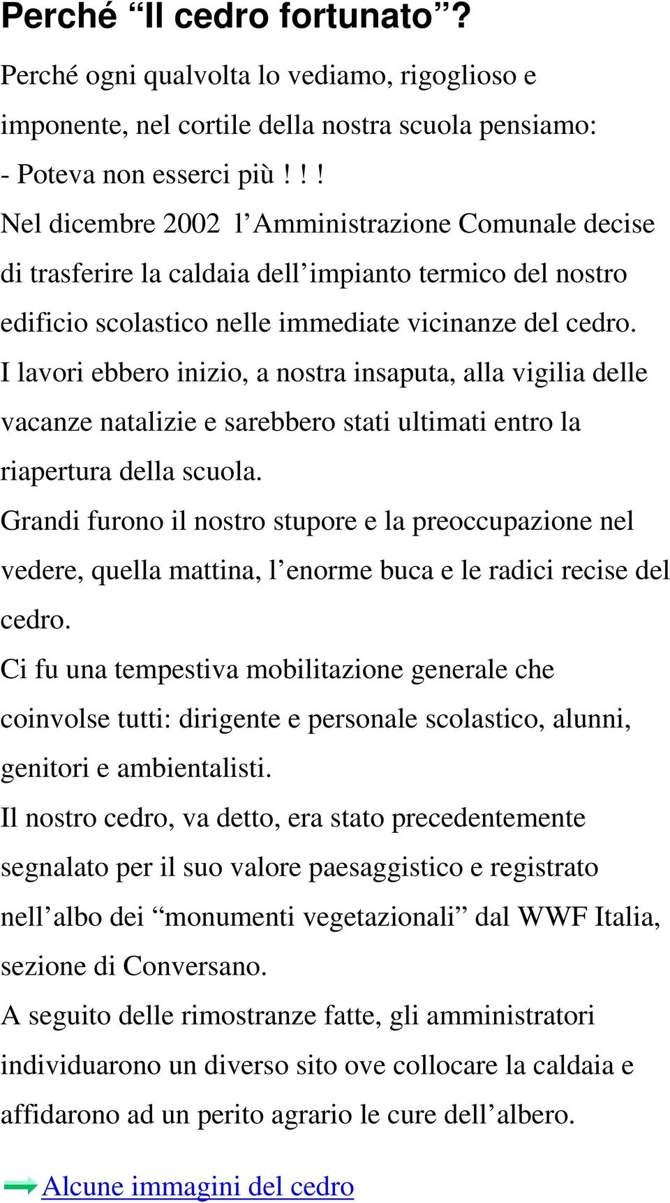 I lavori ebbero inizio, a nostra insaputa, alla vigilia delle vacanze natalizie e sarebbero stati ultimati entro la riapertura della scuola.