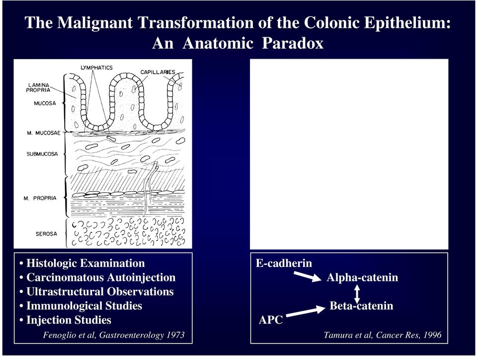 Observations Immunological Studies Injection Studies Fenoglio et al,