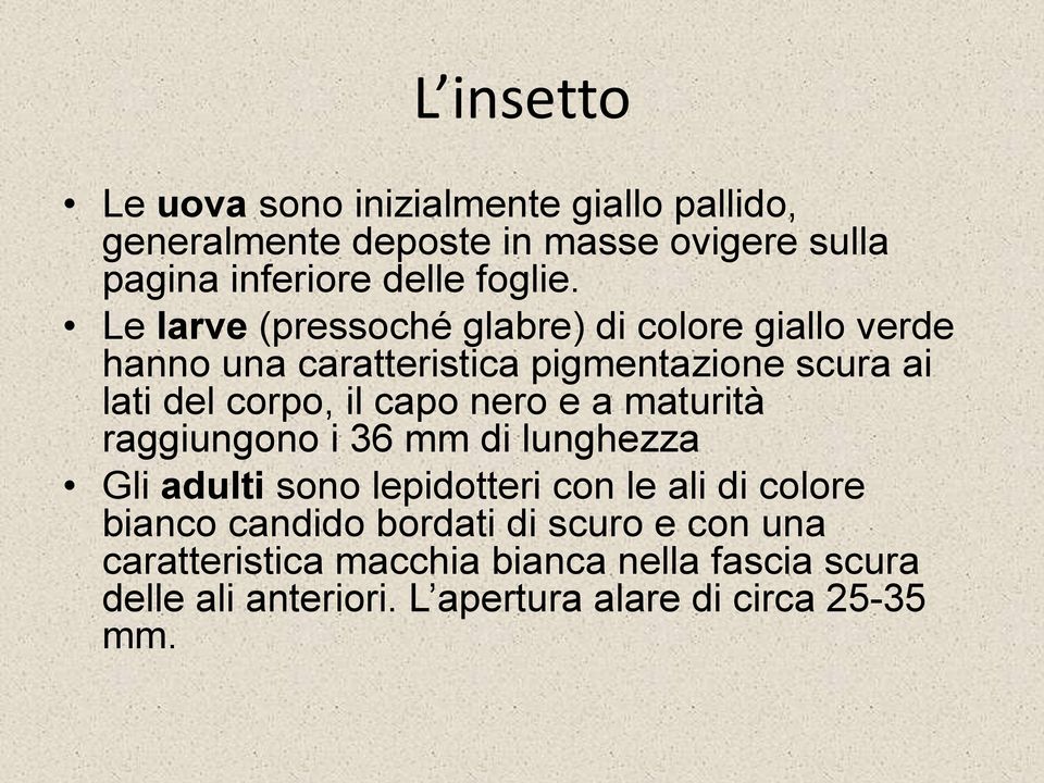 Le larve (pressoché glabre) di colore giallo verde hanno una caratteristica pigmentazione scura ai lati del corpo, il capo