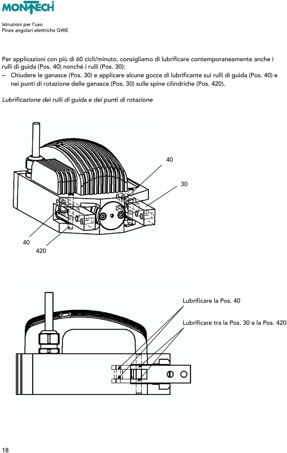 30) e applicare alcune gocce di lubrificante sui rulli di guida (Pos. 40) e nei punti di rotazione delle ganasce (Pos.