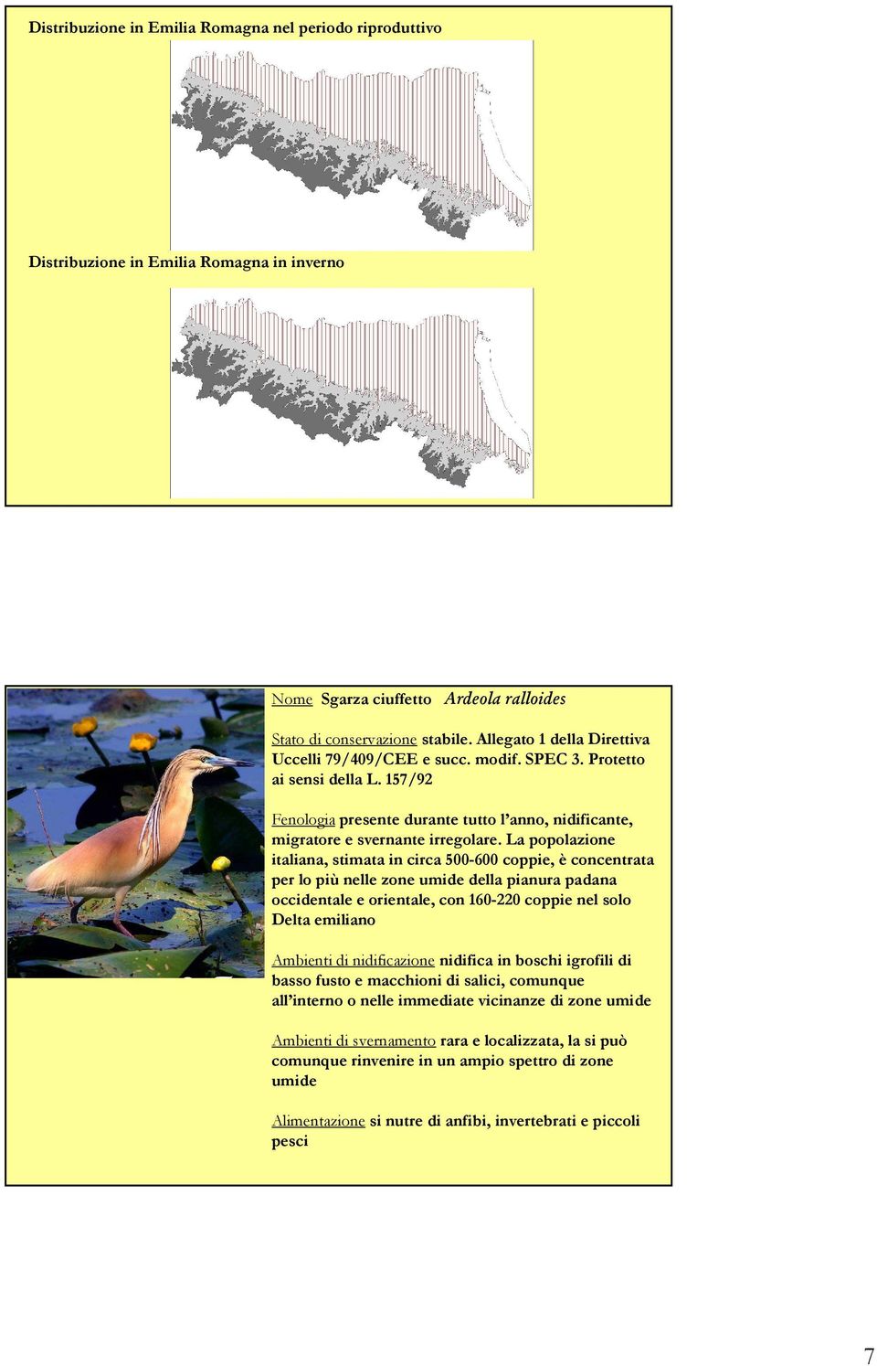 La popolazione italiana, stimata in circa 500-600 coppie, è concentrata per lo più nelle zone umide della pianura padana occidentale e orientale, con 160-220 coppie nel solo Delta emiliano Ambienti