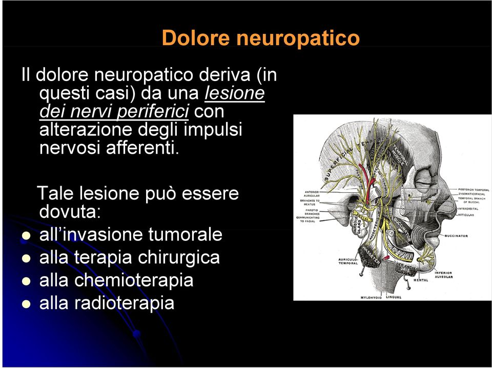 nervosi afferenti.