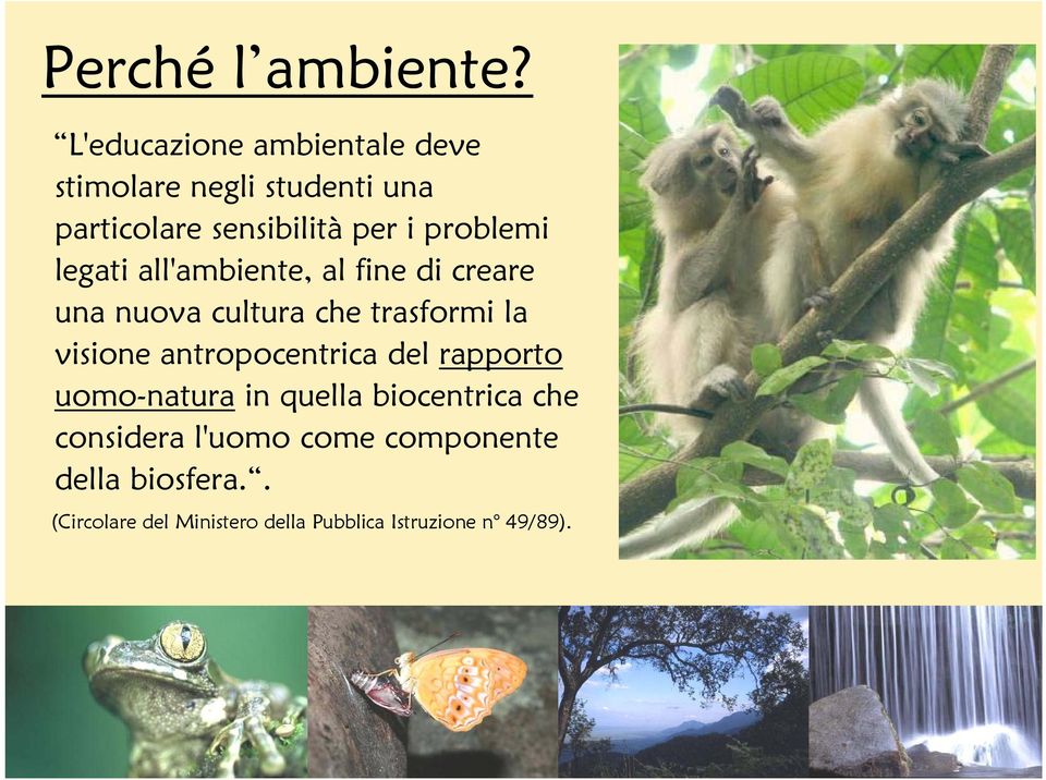 problemi legati all'ambiente, al fine di creare una nuova cultura che trasformi la visione