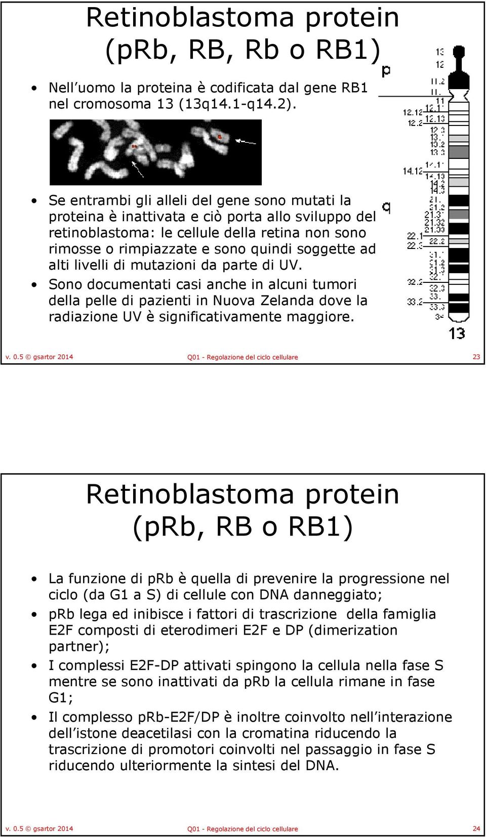 alti livelli di mutazioni da parte di UV. Sono documentati casi anche in alcuni tumori della pelle di pazienti in Nuova Zelanda dove la radiazione UV è significativamente maggiore. v. 0.