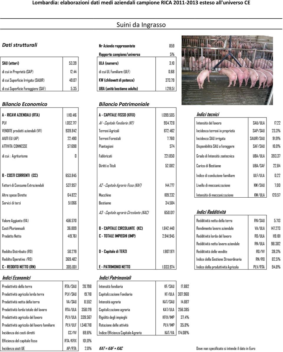 416 A - CAPITALE FISSO (KFIX) 1.099.505 Indici tecnici PLV 1.052.717 A1 - Capitale Fondiario (KF) 954.728 Intensità del lavoro SAU/ULA 17,22 VENDITE prodotti aziendali (VV) 939.