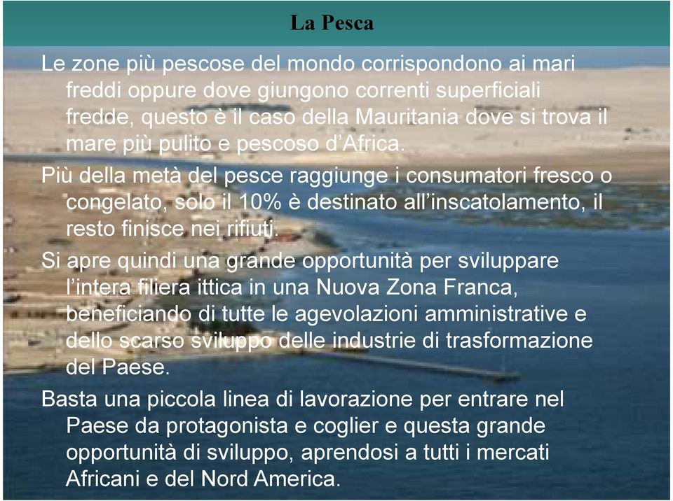 Si apre quindi una grande opportunità per sviluppare l intera filiera ittica in una Nuova Zona Franca, beneficiando di tutte le agevolazioni amministrative e dello scarso sviluppo delle