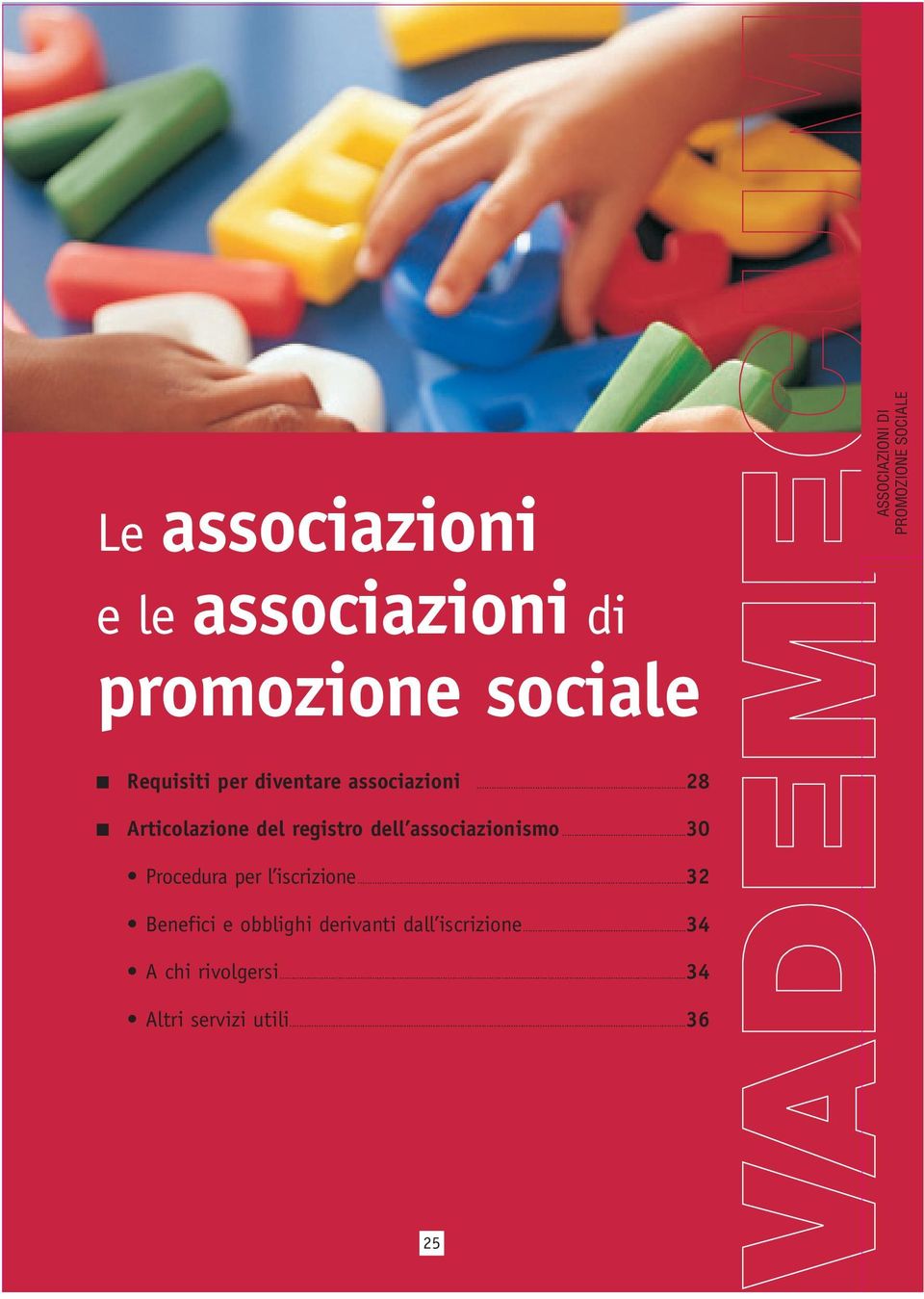 ..28 Articolazione del registro dell associazionismo.