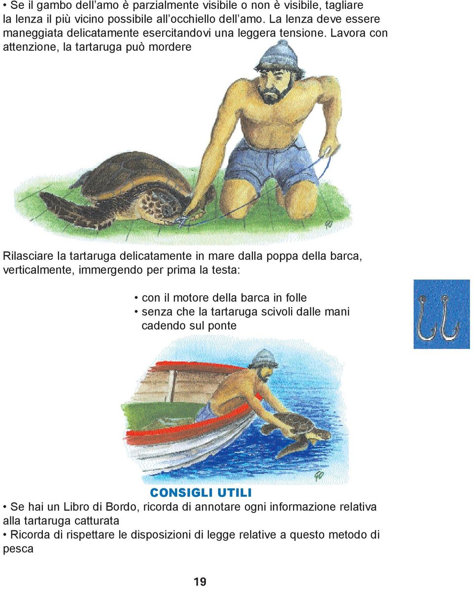 Lavora con attenzione, la tartaruga può mordere Rilasciare la tartaruga delicatamente in mare dalla poppa della barca, verticalmente, immergendo per prima la testa: