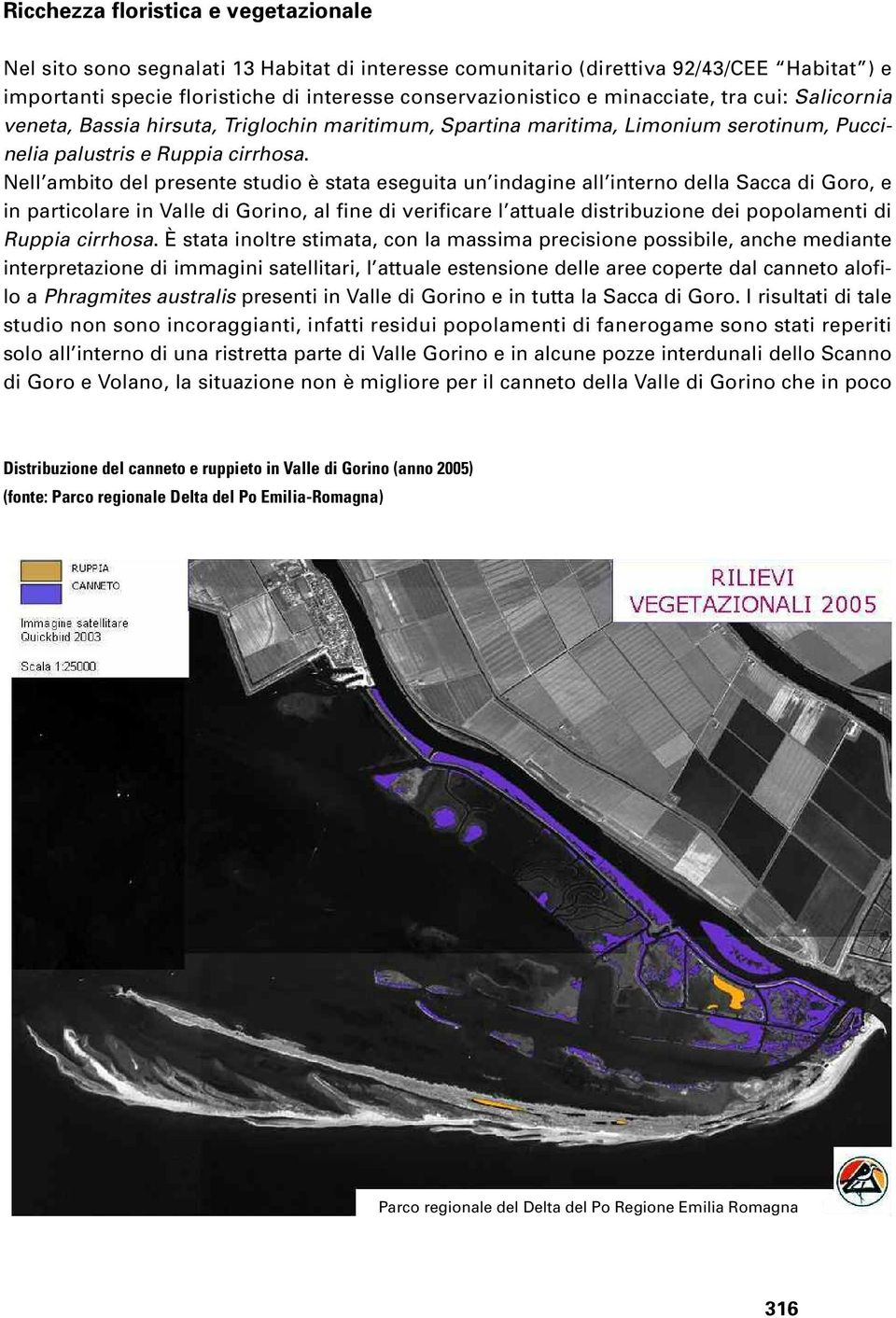 Nell ambito del presente studio è stata eseguita un indagine all interno della Sacca di Goro, e in particolare in Valle di Gorino, al fine di verificare l attuale distribuzione dei popolamenti di