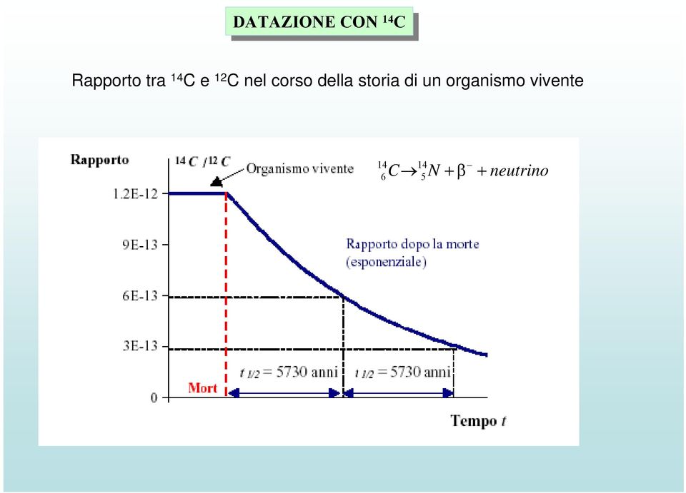 corso della storia di un