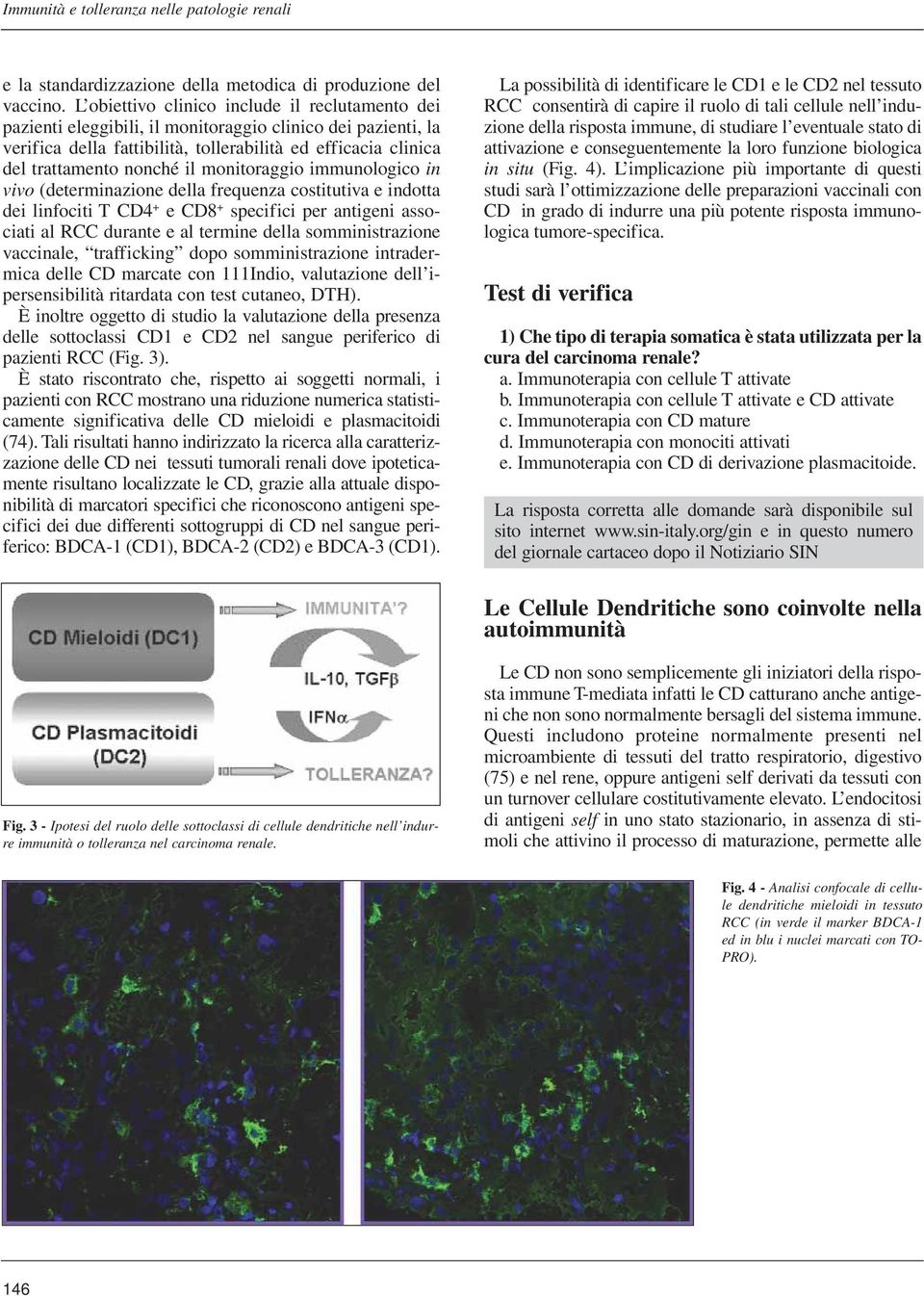 monitoraggio immunologico in vivo (determinazione della frequenza costitutiva e indotta dei linfociti T CD4 + e CD8 + specifici per antigeni associati al RCC durante e al termine della