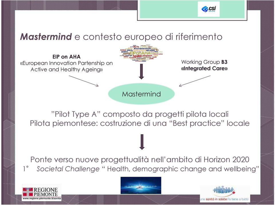 progetti pilota locali Pilota piemontese: costruzione di una Best practice locale Ponte verso