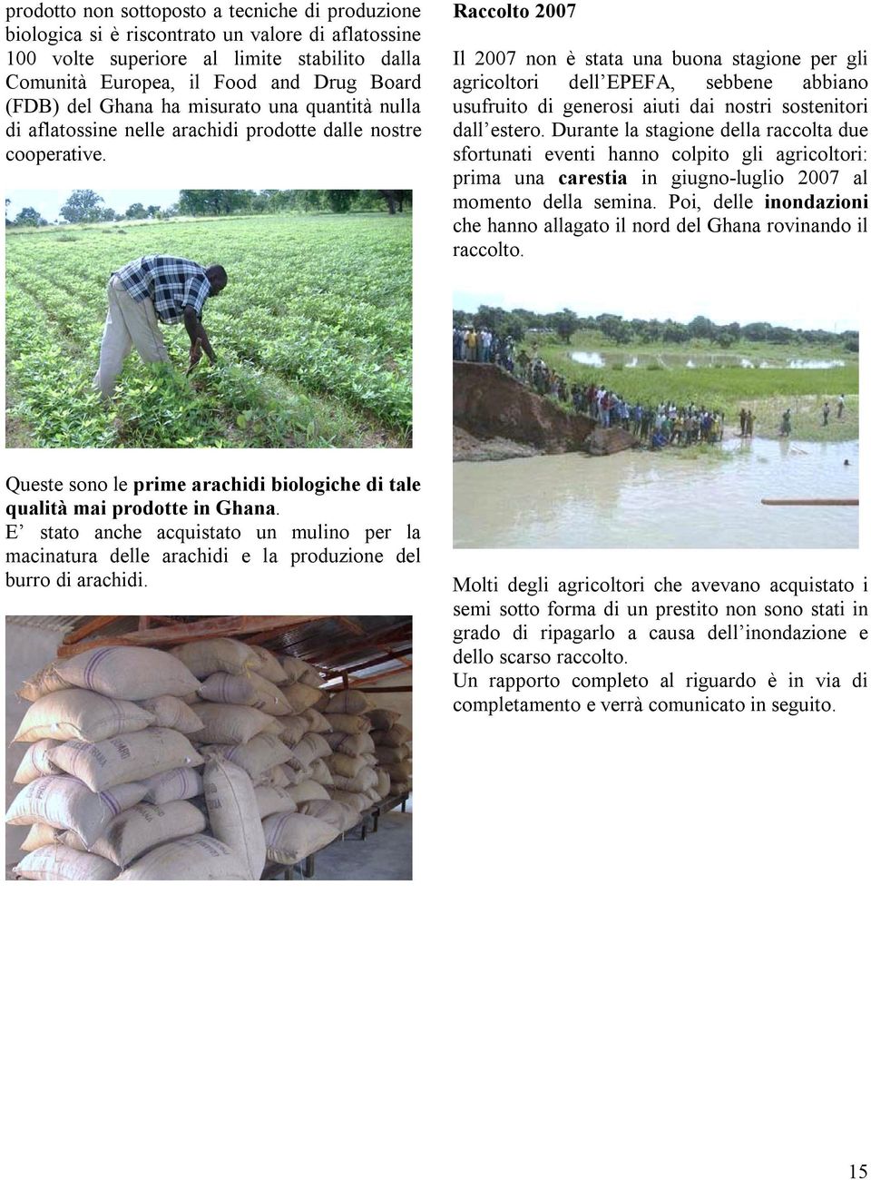 Raccolto 2007 Il 2007 non è stata una buona stagione per gli agricoltori dell EPEFA, sebbene abbiano usufruito di generosi aiuti dai nostri sostenitori dall estero.