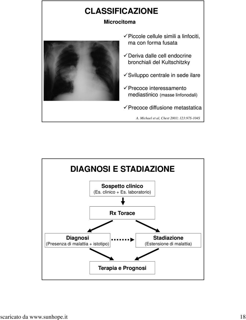 metastatica A. Michael et al, Chest 2003; 123:97S-104S DIAGNOSI E STADIAZIONE Sospetto clinico (Es. clinico + Es.