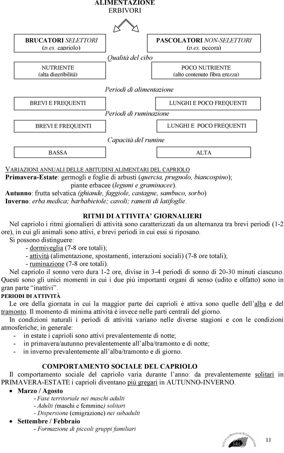 pecora) POCO NUTRIENTE (alto contenuto fibra grezza) Periodi di alimentazione BREVI E FREQUENTI BREVI E FREQUENTI LUNGHI E POCO FREQUENTI Periodi di ruminazione LUNGHI E POCO FREQUENTI Capacità del