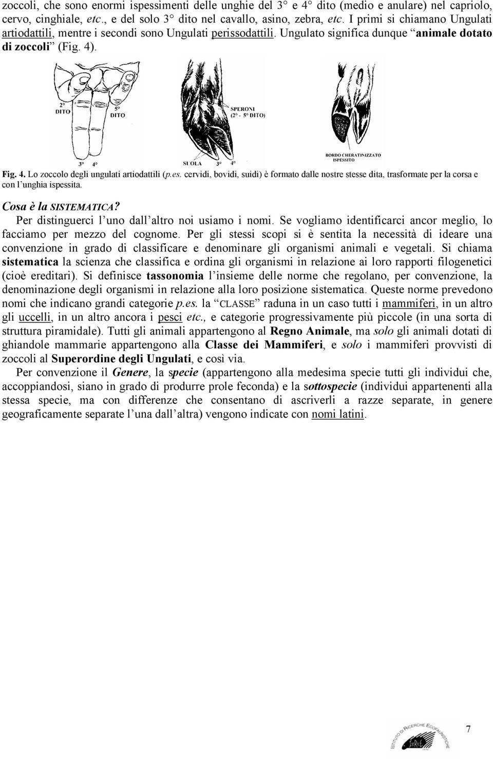 es. cervidi, bovidi, suidi) è formato dalle nostre stesse dita, trasformate per la corsa e con l unghia ispessita. Cosa è la SISTEMATICA? Per distinguerci l uno dall altro noi usiamo i nomi.