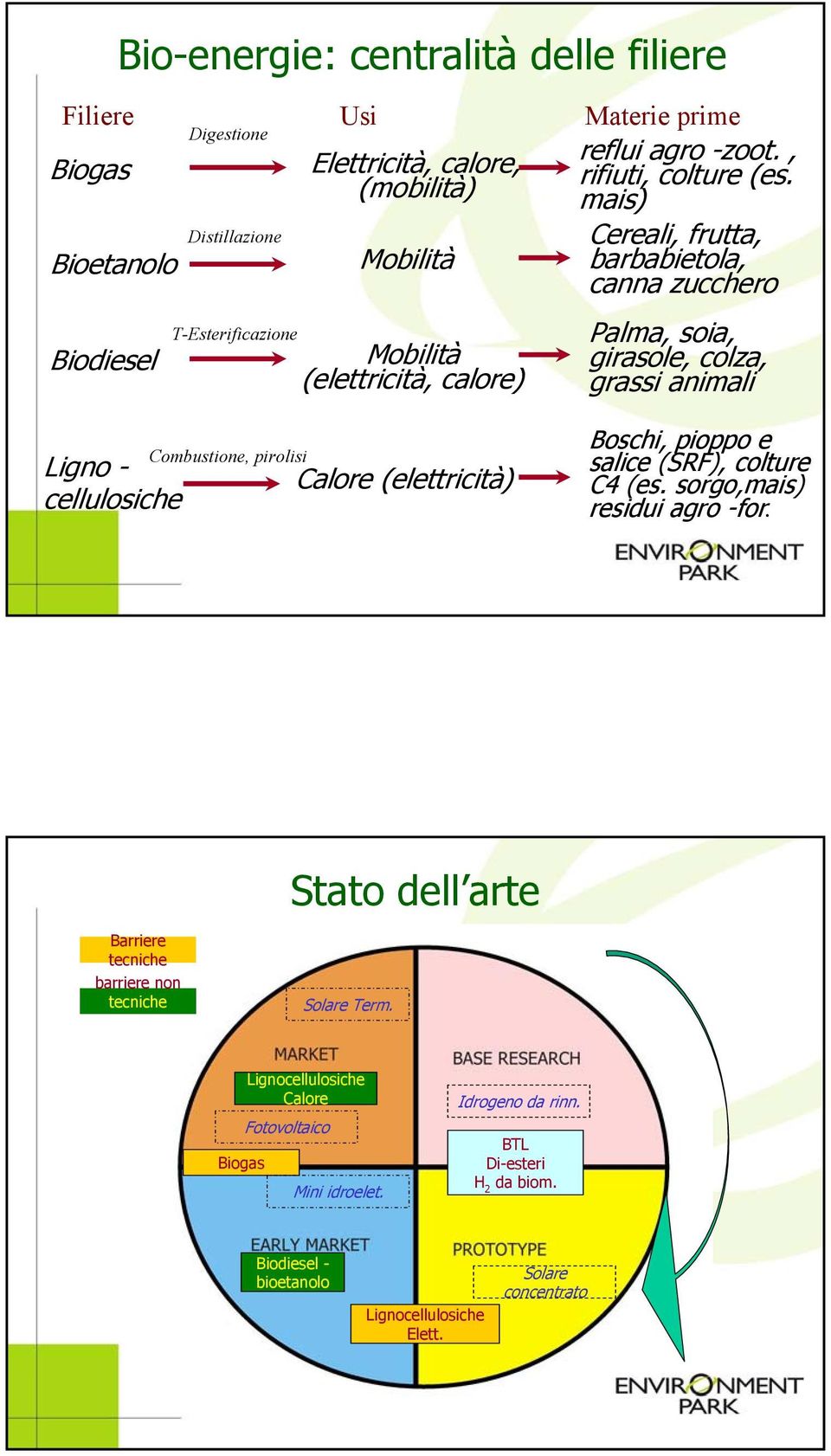 mais) Cereali, frutta, barbabietola, canna zucchero Palma, soia, girasole, colza, grassi animali Boschi, pioppo e salice (SRF), colture C4 (es. sorgo,mais) residui agro -for.