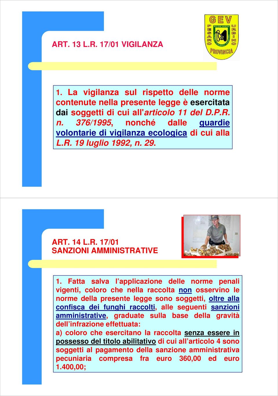 Fatta salva l applicazione delle norme penali vigenti, coloro che nella raccolta non osservino le norme della presente legge sono soggetti, oltre alla confisca dei funghi raccolti, alle seguenti