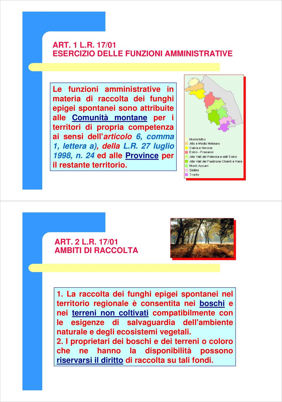 La raccolta dei funghi epigei spontanei nel territorio regionale è consentita nei boschi e nei terreni non coltivati compatibilmente con le esigenze di salvaguardia dell'ambiente