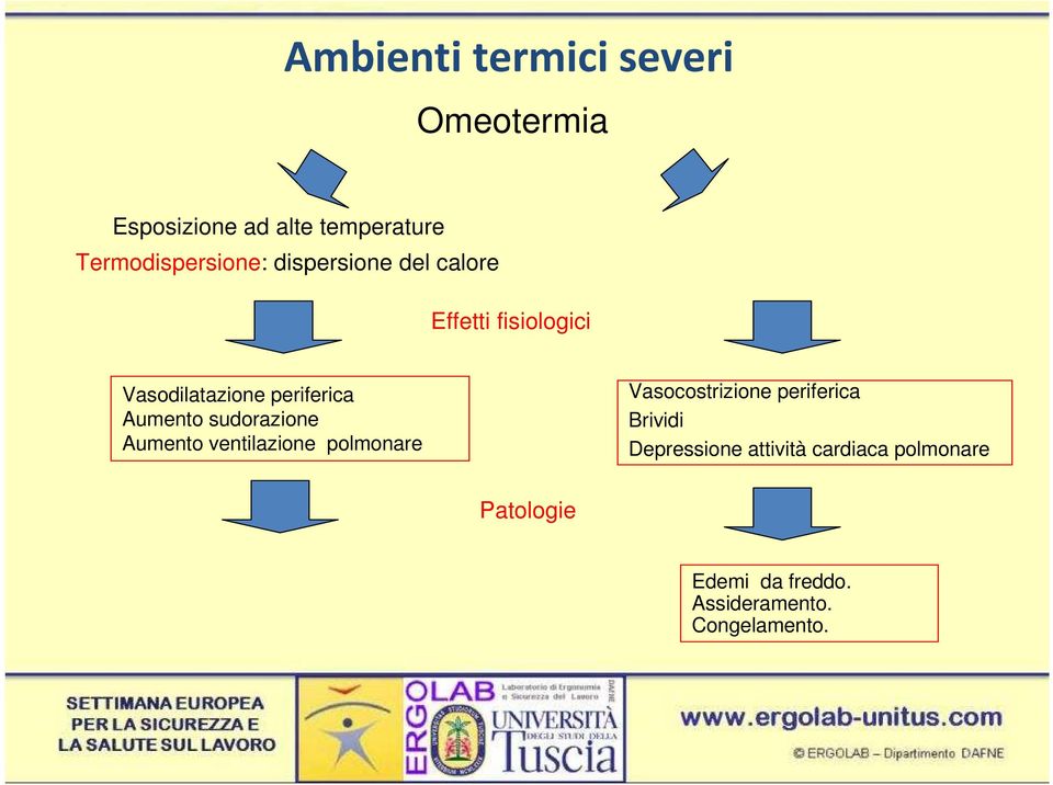 periferica Aumento sudorazione Aumento ventilazione polmonare Vasocostrizione