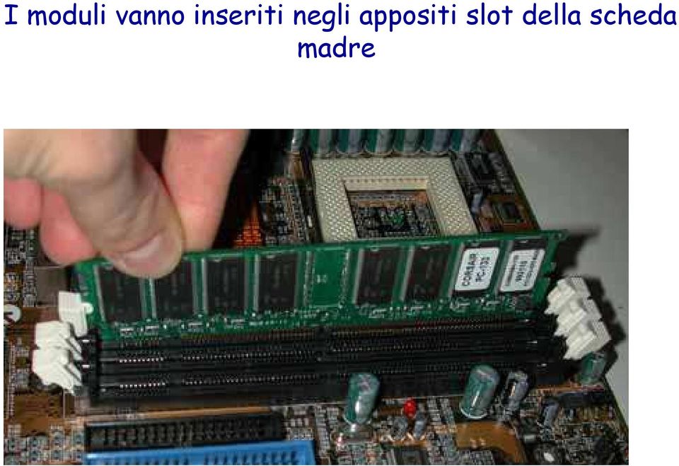 appositi slot