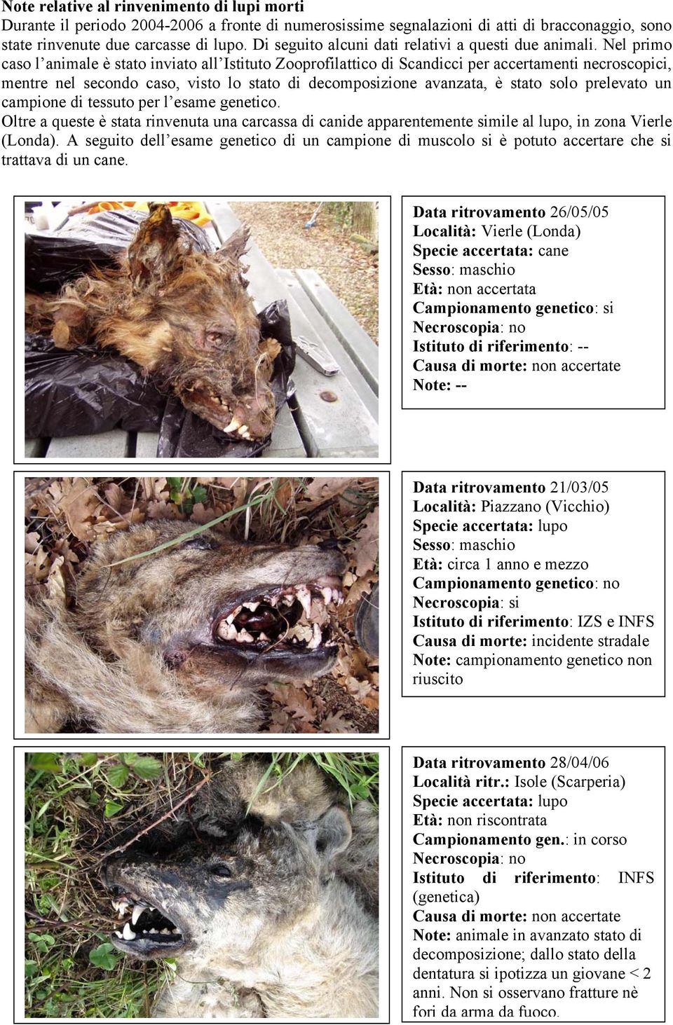 Nel primo caso l animale è stato inviato all Istituto Zooprofilattico di Scandicci per accertamenti necroscopici, mentre nel secondo caso, visto lo stato di decomposizione avanzata, è stato solo