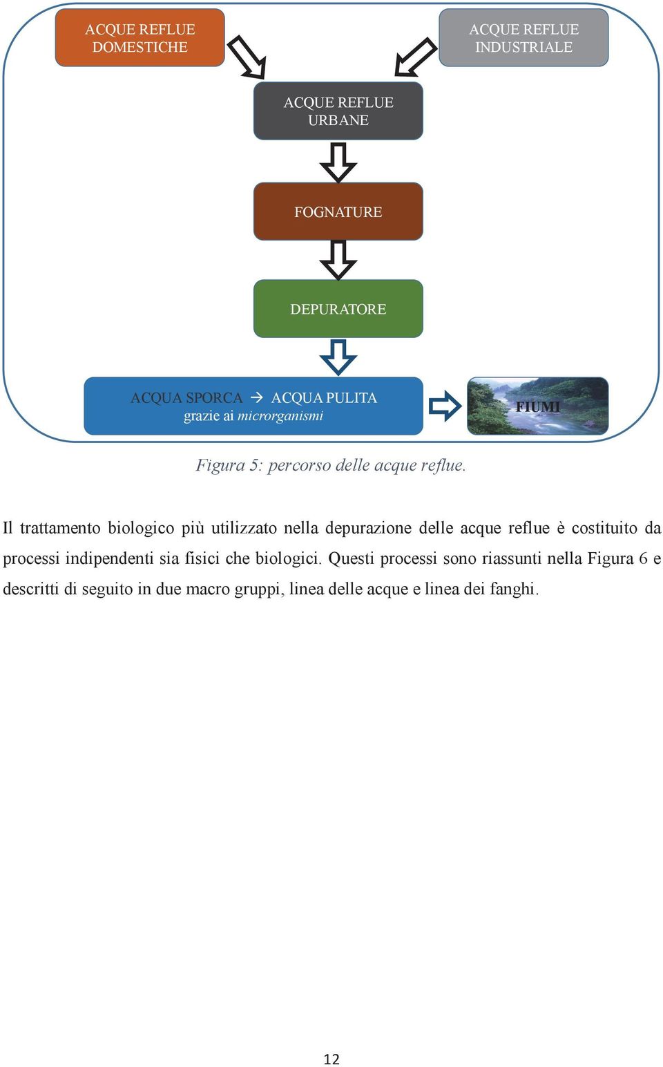 Il trattamento biologico più utilizzato nella depurazione delle acque reflue è costituito da processi indipendenti