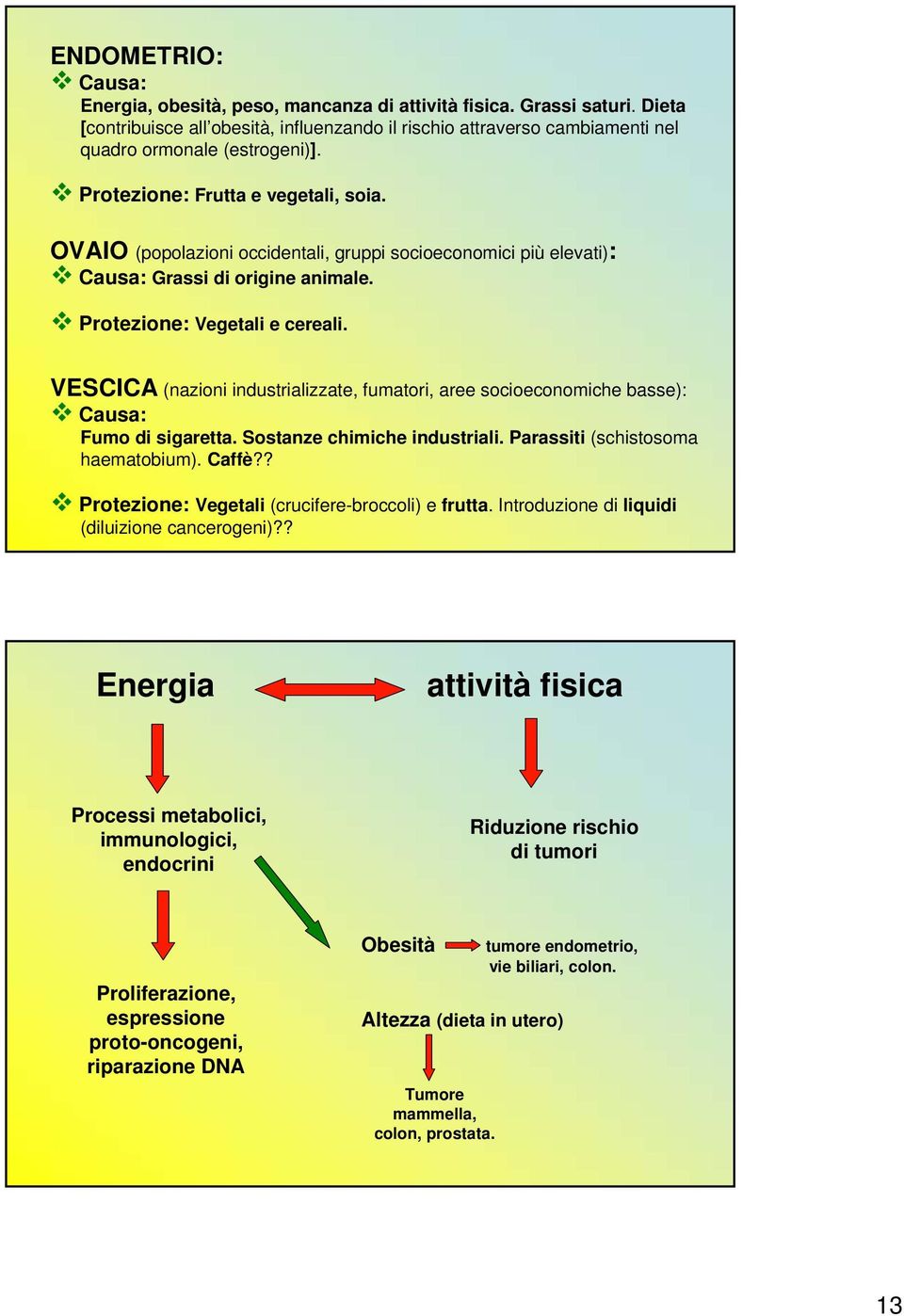 VESCICA (nazioni industrializzate, fumatori, aree socioeconomiche basse): Causa: Fumo di sigaretta. Sostanze chimiche industriali. Parassiti (schistosoma haematobium). Caffè?