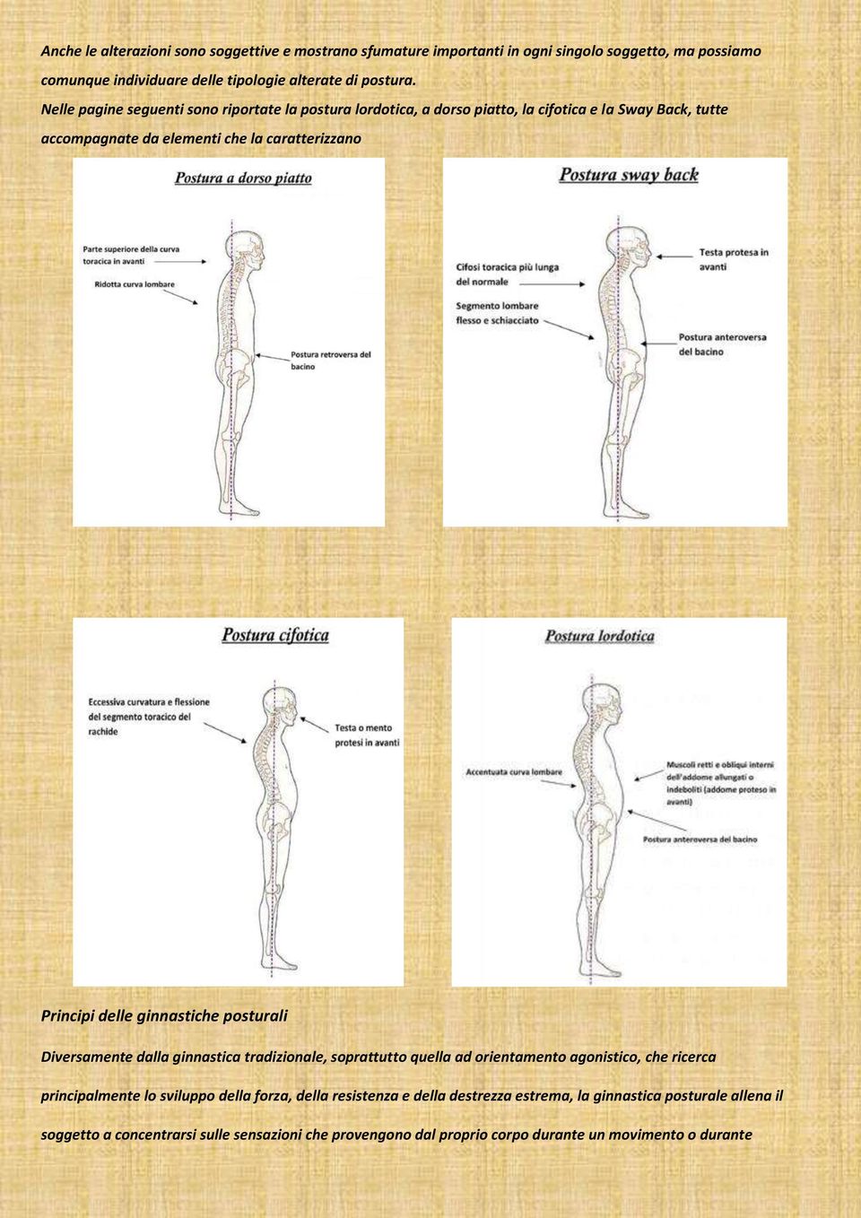 ginnastiche posturali Diversamente dalla ginnastica tradizionale, soprattutto quella ad orientamento agonistico, che ricerca principalmente lo sviluppo della forza, della