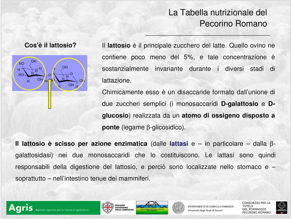 Chimicamente esso è un disaccaride formato dall unione di due zuccheri semplici (i monosaccaridi D-galattosio e D- glucosio) realizzata da un atomo di ossigeno disposto a