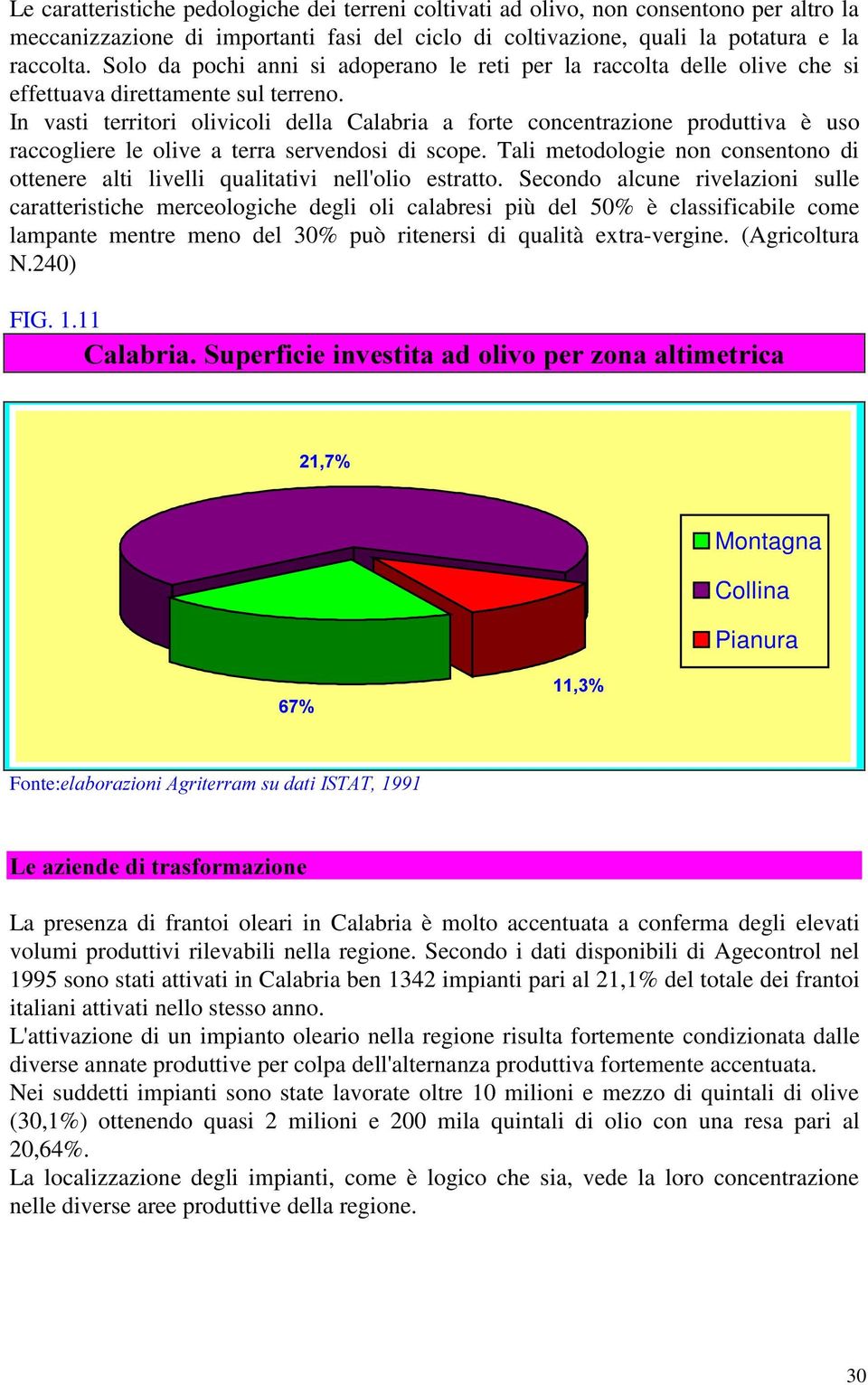 In vasti territori olivicoli della Calabria a forte concentrazione produttiva è uso raccogliere le olive a terra servendosi di scope.