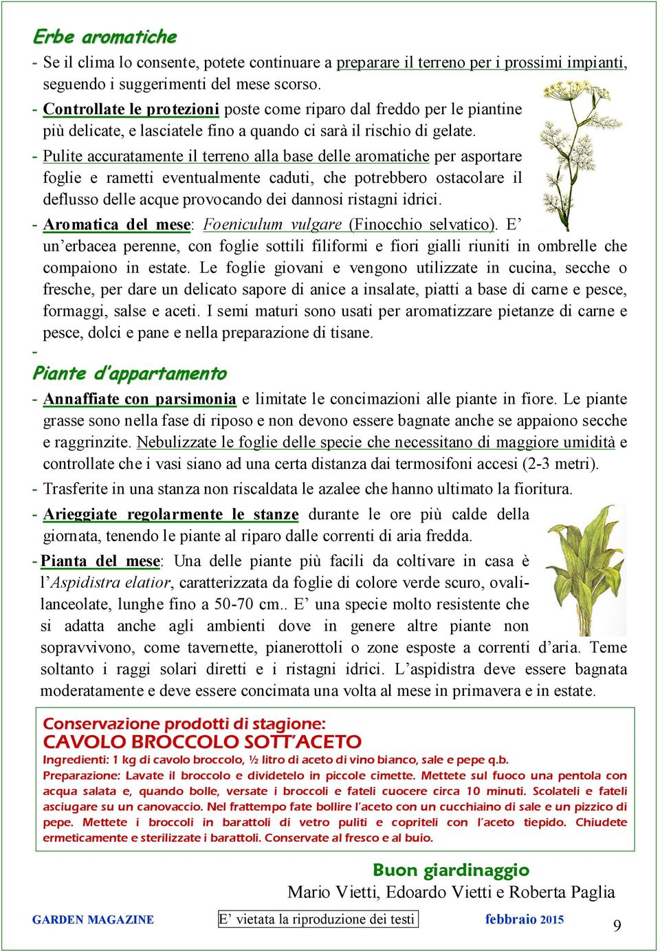 - Pulite accuratamente il terreno alla base delle aromatiche per asportare foglie e rametti eventualmente caduti, che potrebbero ostacolare il deflusso delle acque provocando dei dannosi ristagni