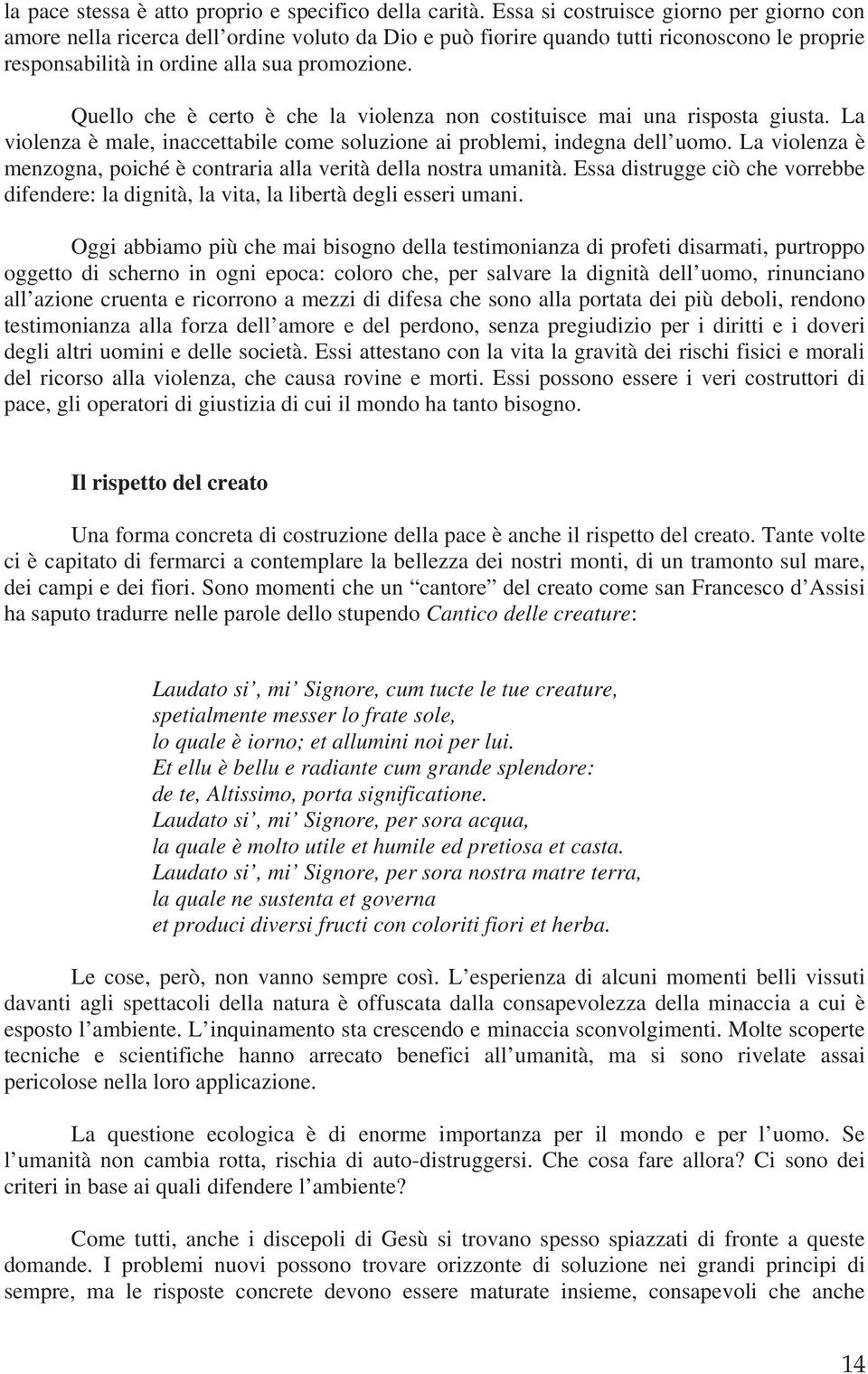 Quello che è certo è che la violenza non costituisce mai una risposta giusta. La violenza è male, inaccettabile come soluzione ai problemi, indegna dell uomo.