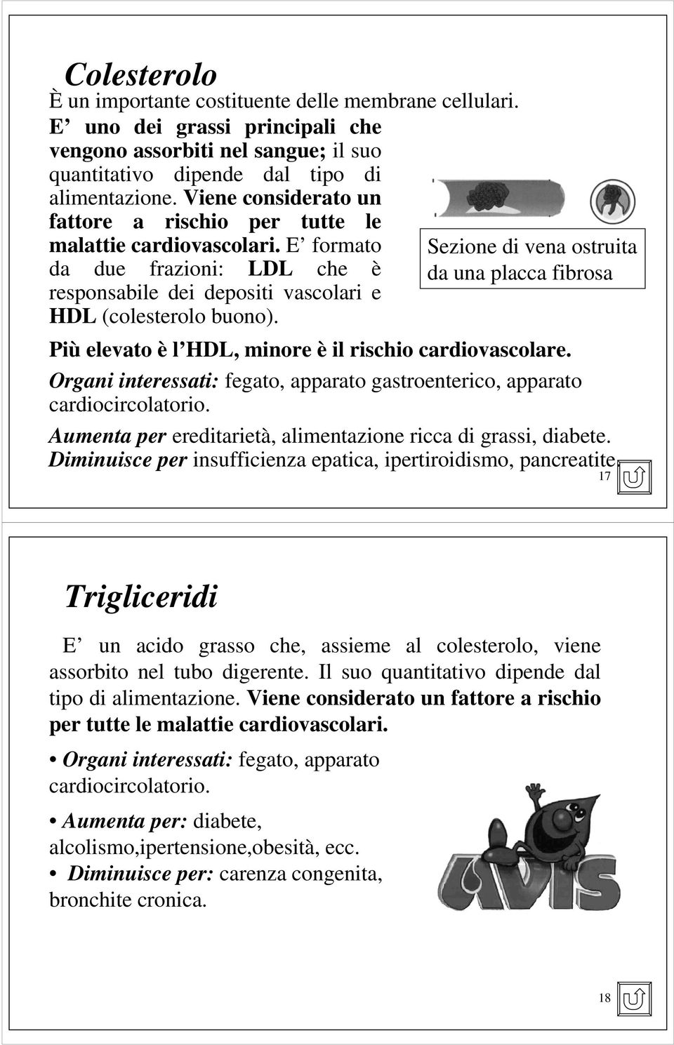 E formato Sezione di vena ostruita da due frazioni: LDL che è da una placca fibrosa responsabile dei depositi vascolari e HDL (colesterolo buono).