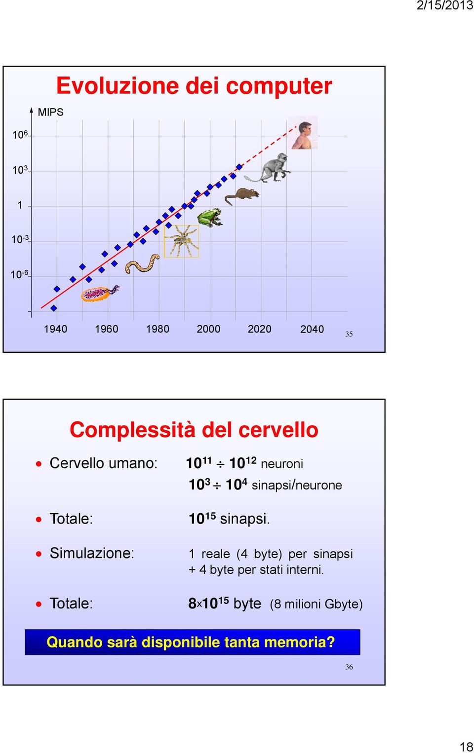 neuroni 10 3 10 4 sinapsi/neurone 10 15 sinapsi.